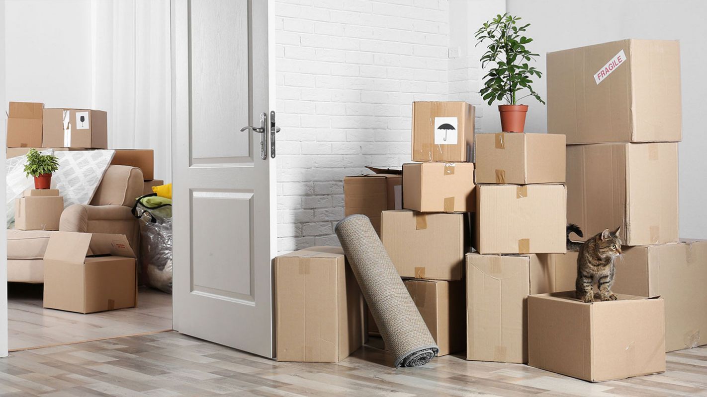 Are packing and storage services even worth it?